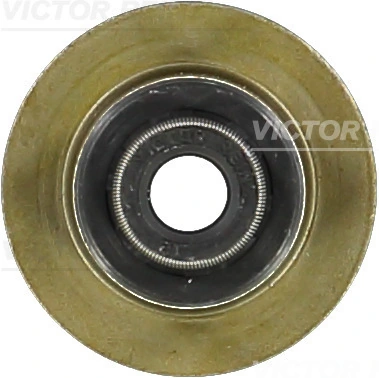 Seal Ring, valve stem
